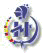 MEDIADORES DE SEGUROS